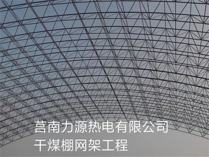 阆中力源热电有限公司干煤棚网架工程